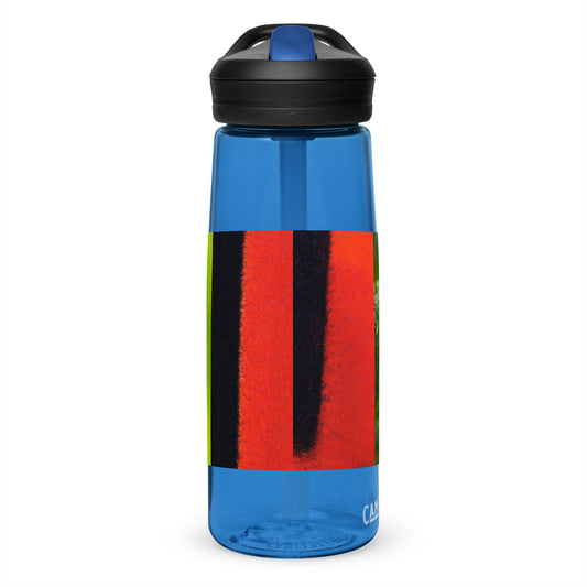 Sports water bottle